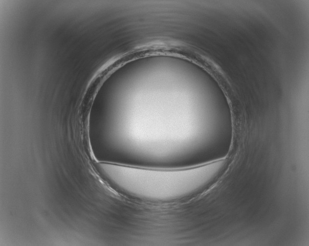 X0000081271018200701110902