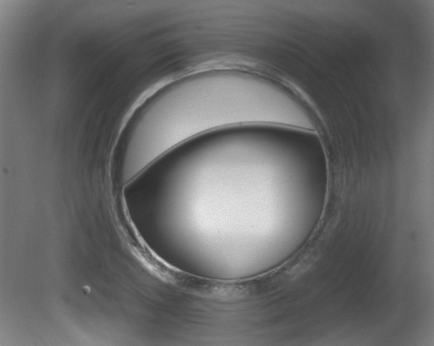 X0000081271026200701110902