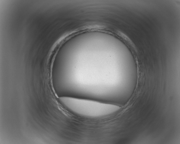 X0000081271027200701110902