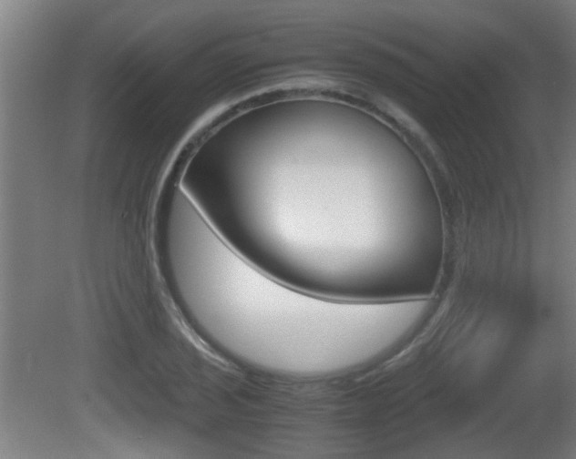 X0000081271029200701110902
