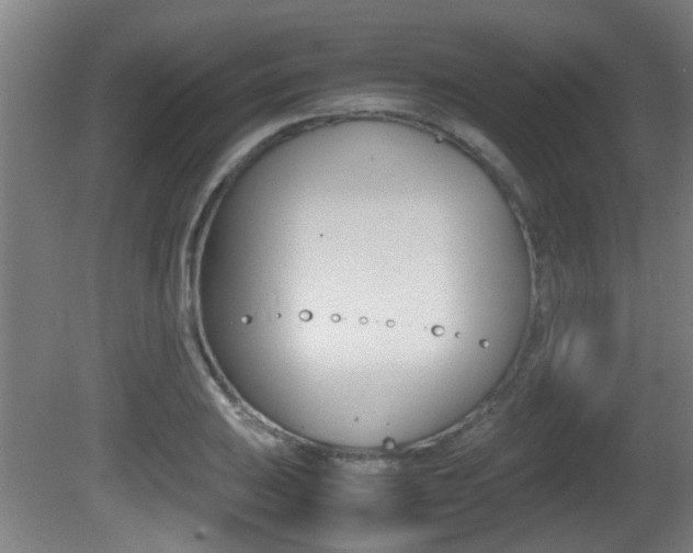 X0000081271031200701110902