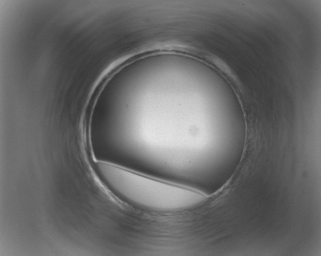 X0000081271032200701110902
