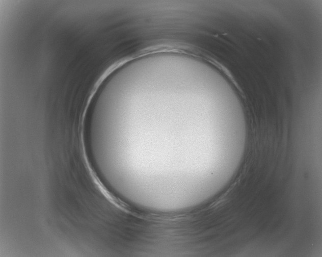 X0000081271034200701110902
