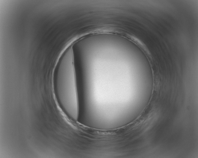 X0000081271039200701110902