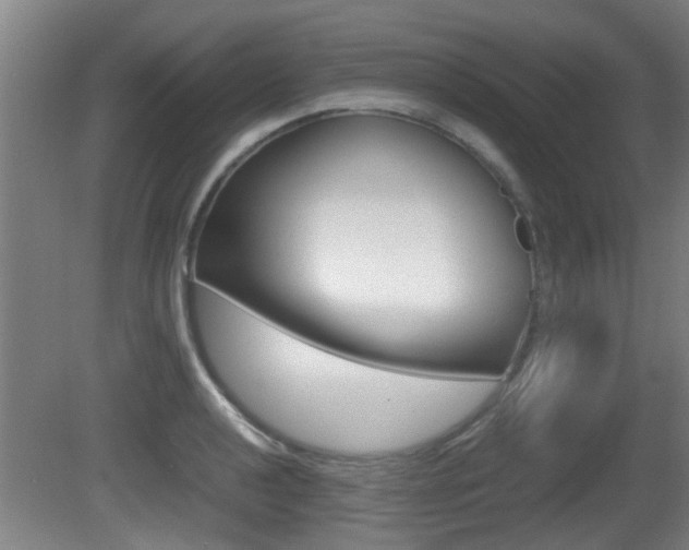 X0000081271040200701110902