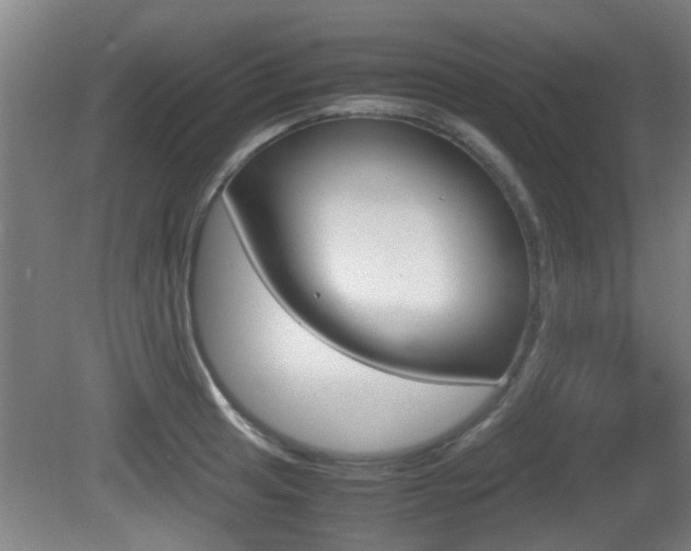 X0000081271041200701110902