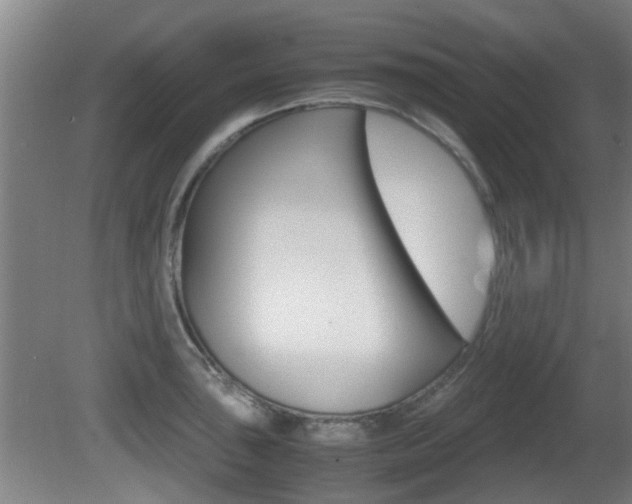X0000081271043200701110902