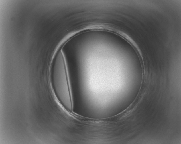 X0000081271045200701110902