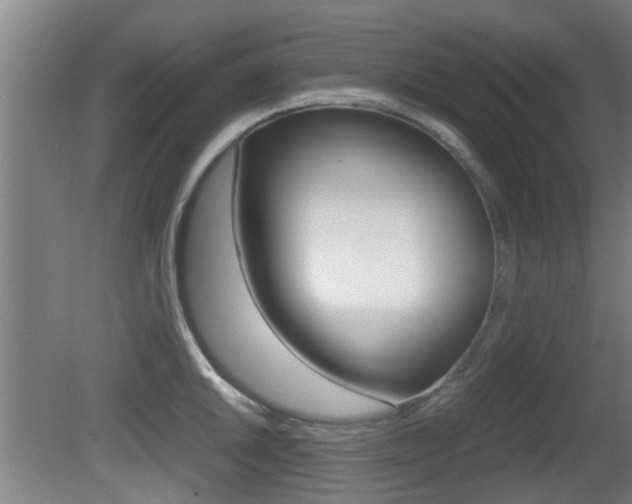 X0000081271046200701110902