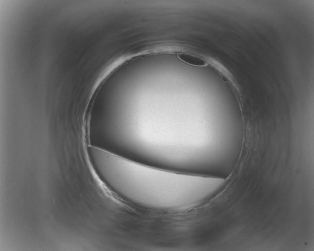 X0000081271047200701110902