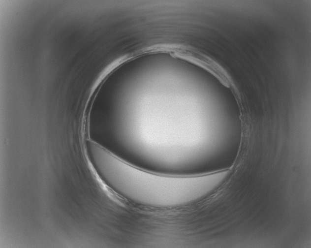X0000081271050200701110902