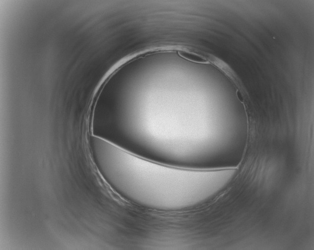 X0000081271052200701110903