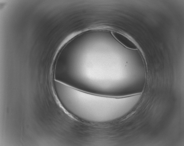 X0000081271053200701110903