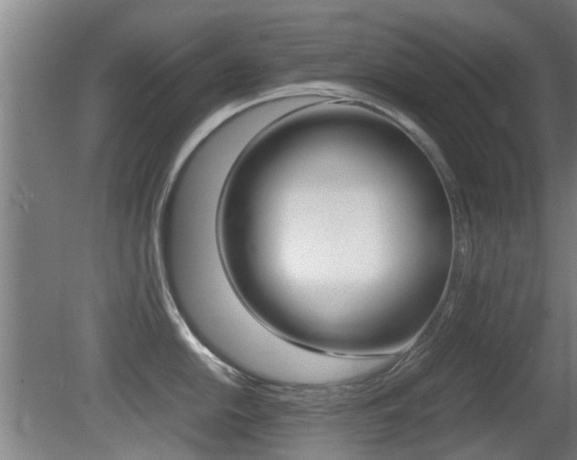 X0000081271054200701110903