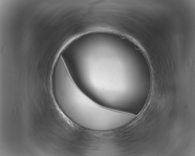 X0000081271056200701110903