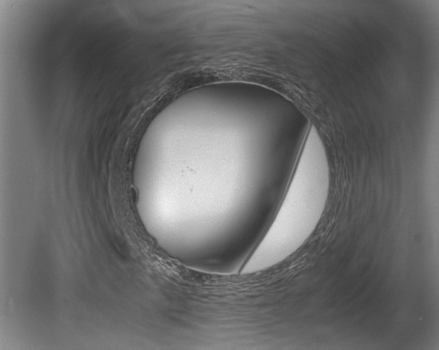 X0000081271057200701110902