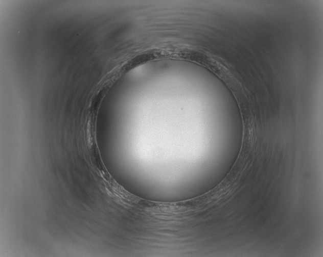 X0000081271060200701110902