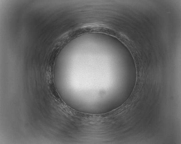 X0000081271062200701110902