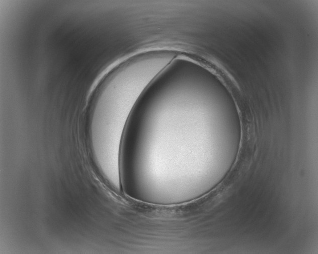 X0000081271069200701110902