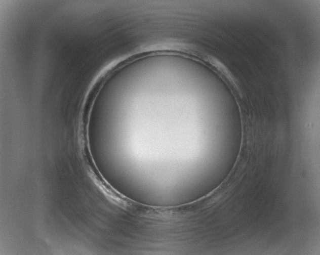 X0000081271072200701110902