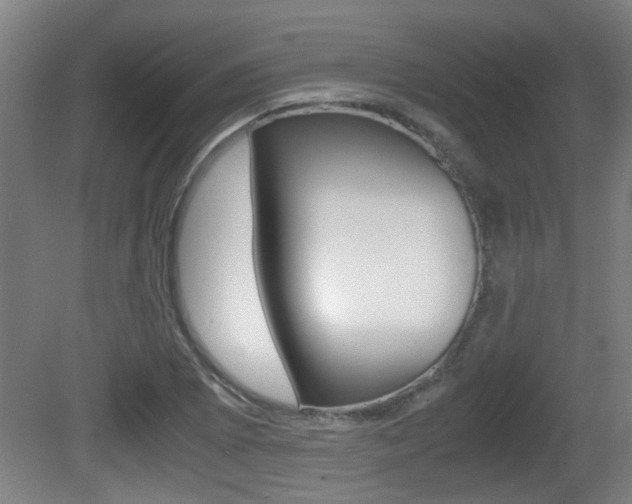 X0000081271073200701110901