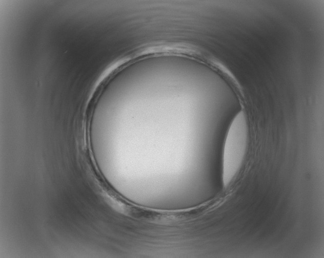 X0000081271079200701110901