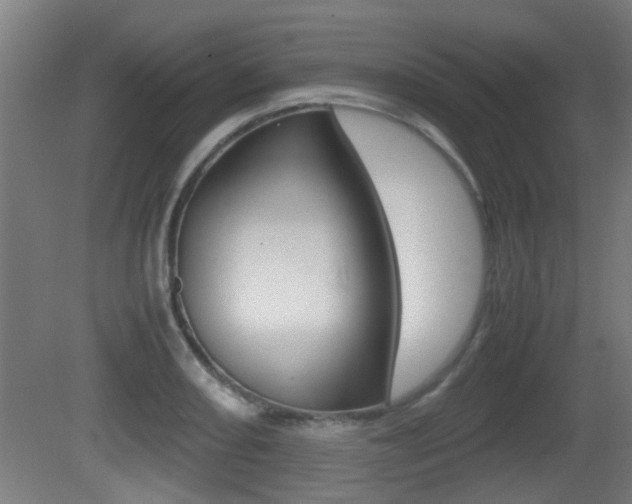 X0000081271082200701110901