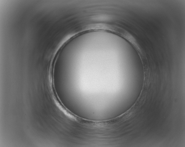 X0000081271084200701110901