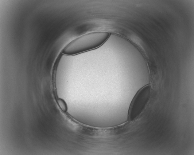 X0000081271087200701110901