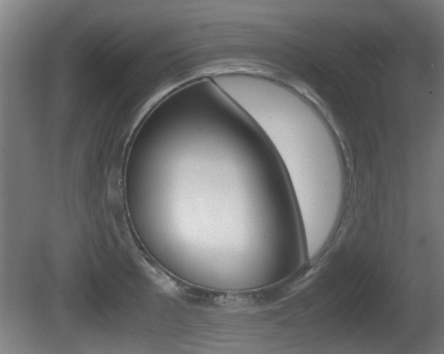 X0000081271089200701110901