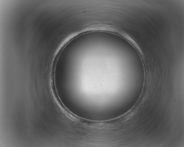 X0000081271093200701110901