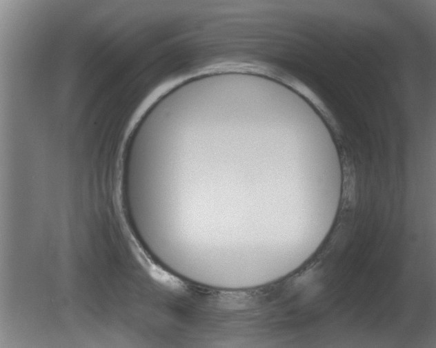 X0000081271094200701110901
