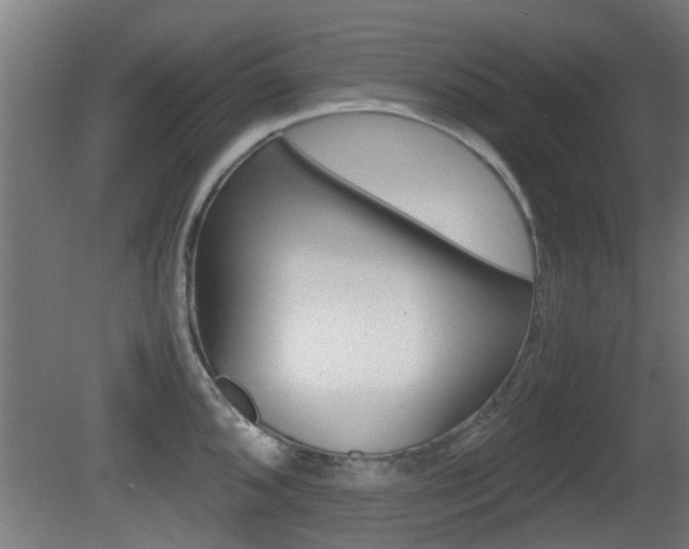 X0000081271096200701110901
