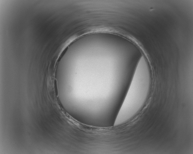 X0000081271097200701110901