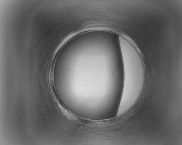 X0000081271101200701110901