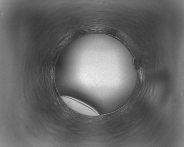 X0000081271107200701110900
