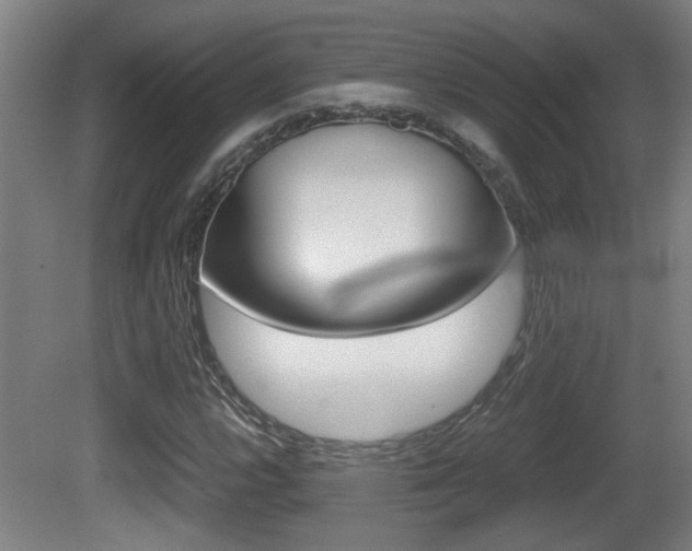 X0000081271112200701110900