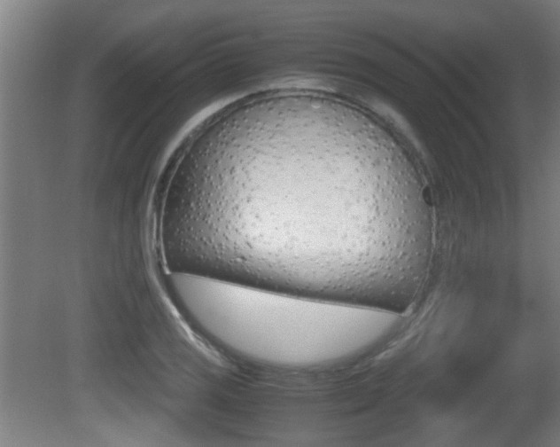 X0000081271125200701110900