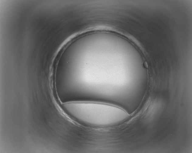 X0000081271126200701110901