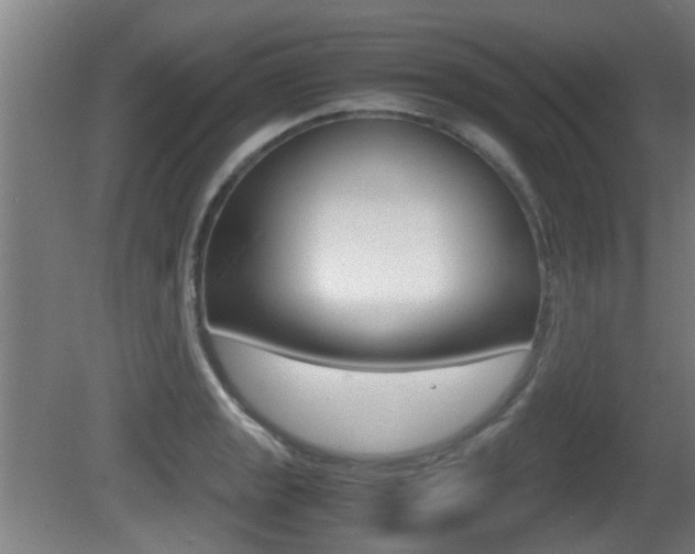 X0000081271133200701110901