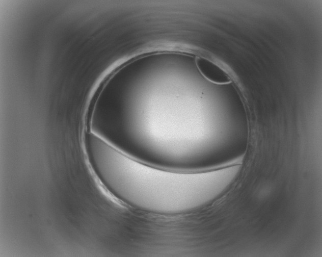 X0000081271136200701110901