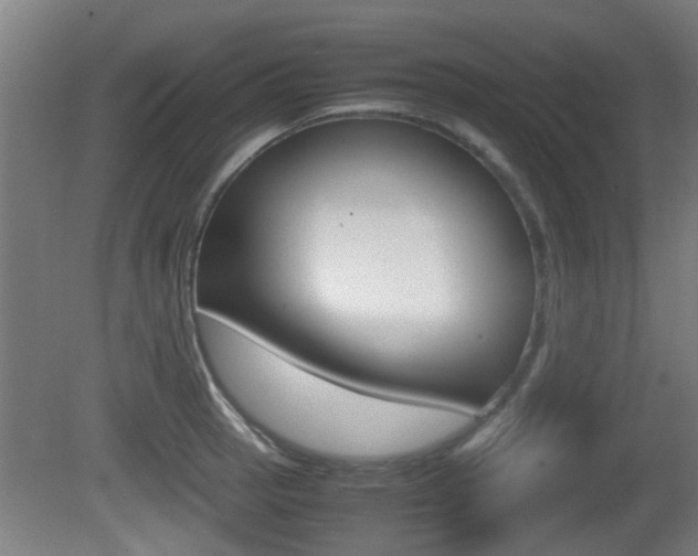 X0000081271137200701110901