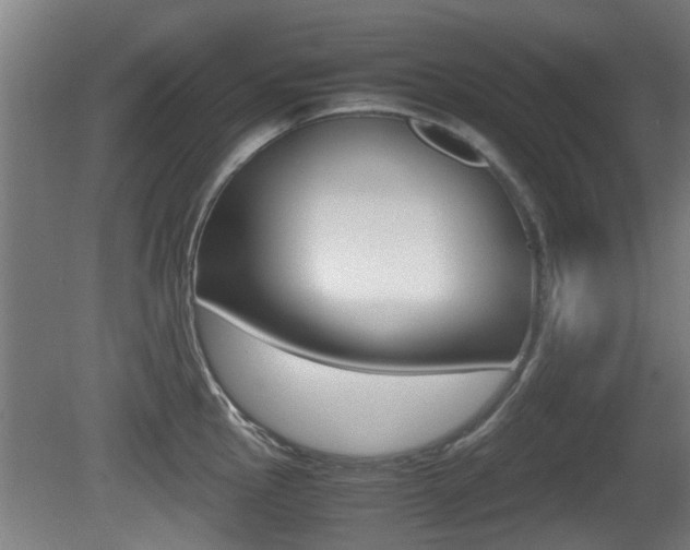 X0000081271145200701110901