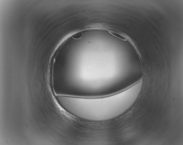 X0000081271147200701110901