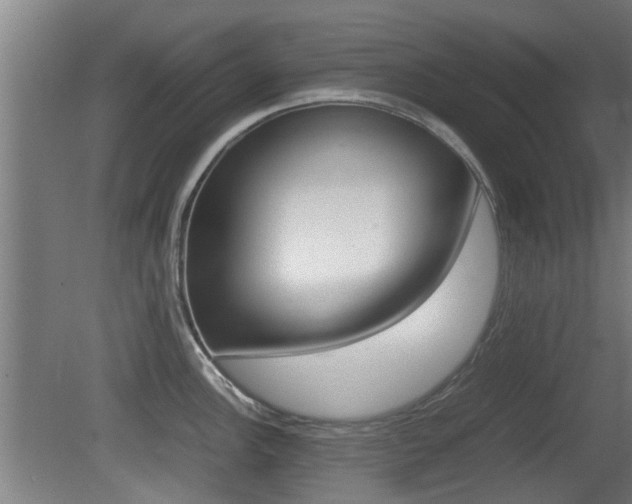 X0000081271148200701110901