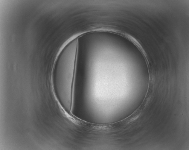 X0000081271149200701110901