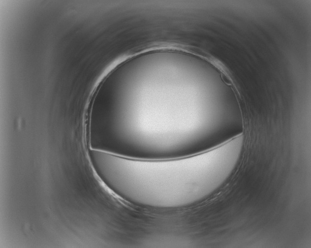 X0000081271151200701110901
