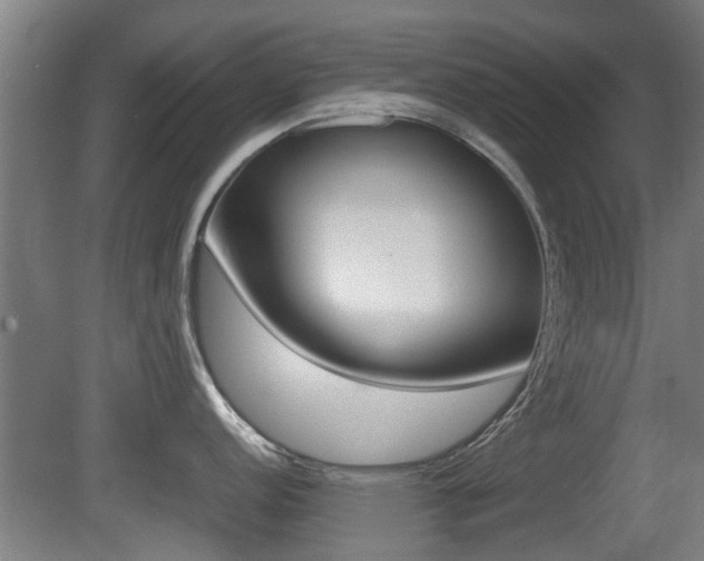 X0000081271152200701110901