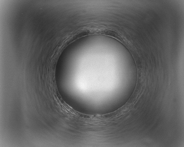 X0000081271153200701110900
