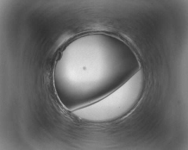 X0000081271163200701110900